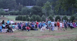 Fair in Kennesaw Park