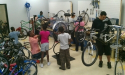 Auto Mechanic - South Atlanta Bike Shop