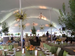 Event Management - Elite Event Rental