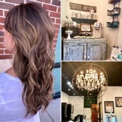Health and Beauty - Olive and Bloom Hair Studio