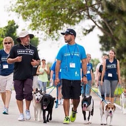 Hospitals - Butler Creek Animal Hospita