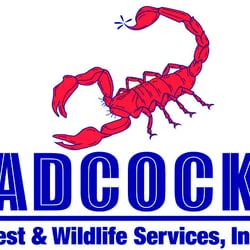 Pest Control - Adcock Pest & Lawn Services