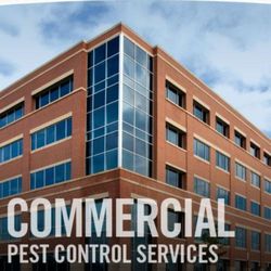 Pest Control - WL Pest Control