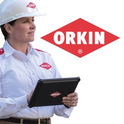 Pest Control - Orkin Pest & Termite Control