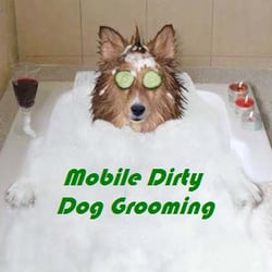 Pet Groomers - Mobile Dirty Dog Grooming