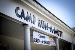 Pet Groomers - Camp Run-A-Mutt Dunwoody